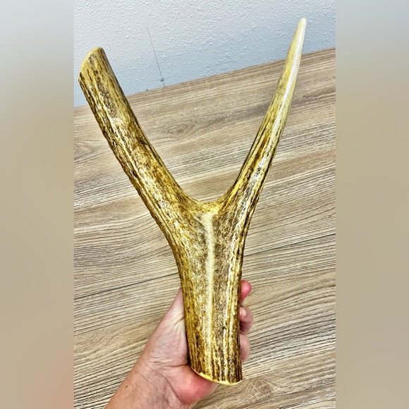 Genuine Elk Antler Decorative Table Top Centerpiece Candle Holder - Picture 3 of 5